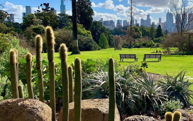 Royal Botanical Gardens Melbourne