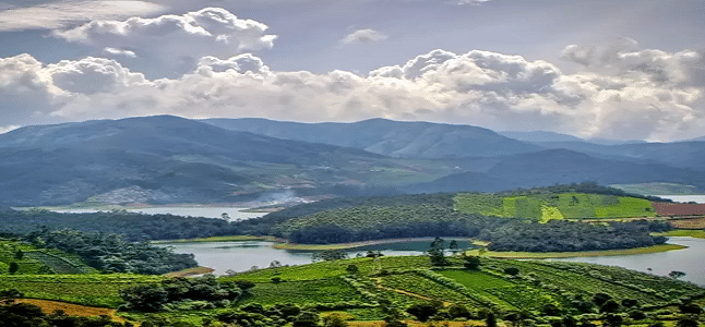 Best tourist attractions to visit in Ooty