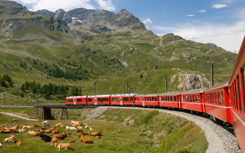 Bernina Express Ride