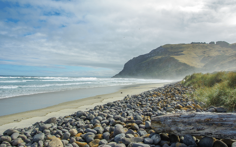 Coastal Retreat in New Zealand 