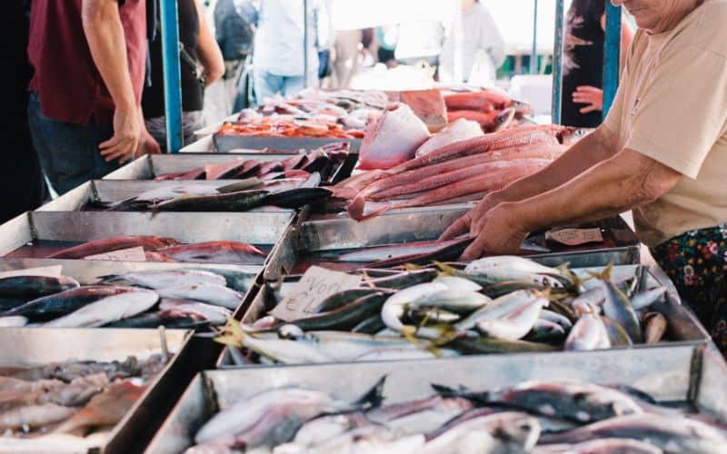 Iconic Fish Markets